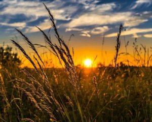 Спека до +40°С: яким в Україні буде літо