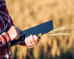 Кабмін полегшив фермерам процес отримання допомоги