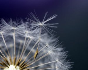 Вітер збиватиме з ніг: киян попередили про небезпеку