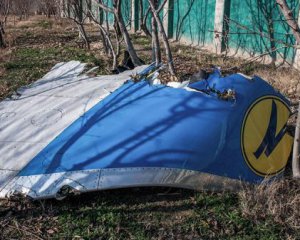 Іран почав виплати компенсацій родичам жертв авіакатастрофи МАУ