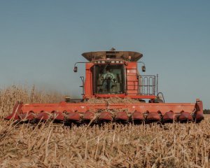 Україна ризикує втратити конкуренцію на світових аграрних ринках - Роман Сластьон