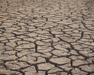 Засуха може стати новою пандемією: в ООН б&#039;ють на сполох