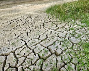 Цьогорічна спека може стати найгіршою за останні 1200 років