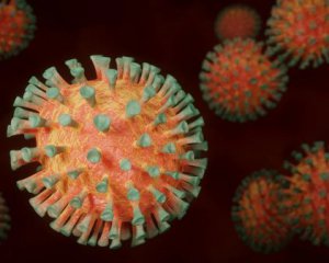 Завтра в РНБО говоритимуть про загрозливий штам коронавірусу