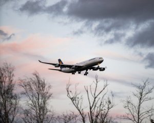 Самолет МАУ вернулся в Харьков из-за птицы