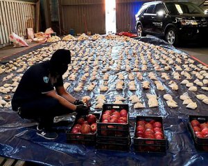 Виловили партію "наколотих" амфетаміном апельсинів