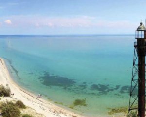Водоросли и медузы, которые невероятно жалят - блогер разочарован популярным украинским курортом у Черного моря