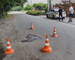 "Славута" сбила и трижды переехала женщину: за рулем был бывший потерпевшей