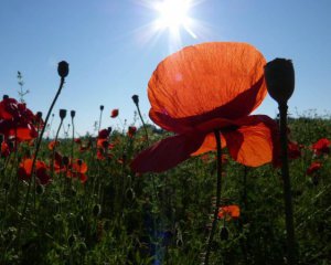 Знову гаряче: в Україну повертається спека