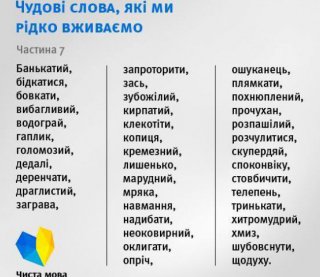 Гаплик, мряка, скупердяй - составили подборку слов, которые делают язык изысканным