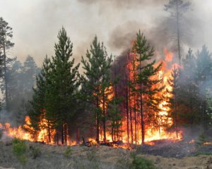 Россия в огне - горят леса и дома