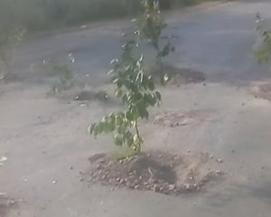 Дырявая дорога в Киевской области &quot;проросла&quot; вишнями