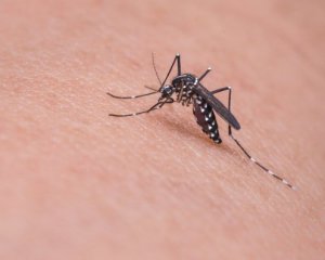 Залітають у вуха: українці потерпають на відпочинку від нашестя комарів