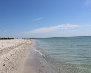 На пляжі кусають жуки. У морі - жалять медузи - блогер оцінив дикий відпочинок у Приморському