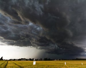 +37°С, дощі та грози -  погода випробовуватиме українців ще тиждень