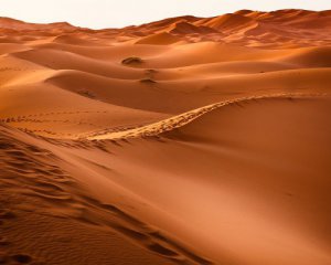 Заливает даже пустыню: в ОАЭ искусственно вызвали дожди