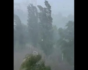 Харьковом пронесся мощный ураган: видео непогоды