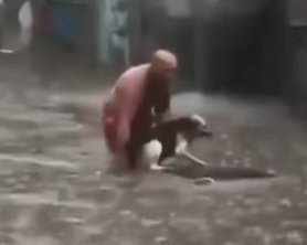 Героїчний порятунок собаки у бурю прославив киянина: зворушливе відео
