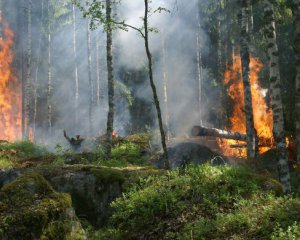 Обьявили чрезвычайный уровень пожарной опасности. Какие области под угрозой