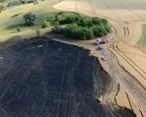 Пожарные спасли от огня пшеничное поле