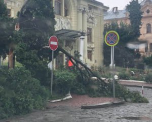 В Чернівцях негода: повалені дерева, затоплені вулиці