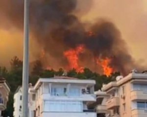 В Турции лесные пожары. Украина отправит самолет с помощью