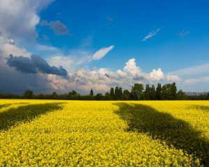 "Україні потрібна нова індустріалізація на основі сучасних технологій" - економіст