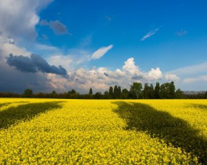 &quot;Украине нужна новая индустриализация на основе современных технологий&quot; - экономист