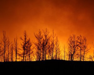 Українські рятувальники почали боротися з пожежами у Туреччині