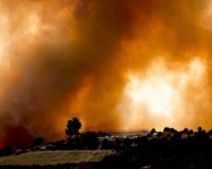Лісові пожежі у Туреччині: затримали підозрюваного до підпалів