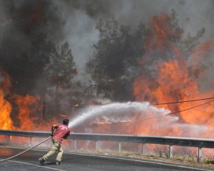 Количество жертв лесных пожаров в Турции резко возросла