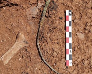 Археологи откопали уникальные древнеримские мечи
