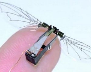 Розробили мікродрони розміром з комаху