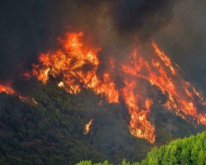 Украина отправит сотню пожарных для помощи Греции с лесными пожарами - Зеленский