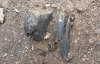 Череп, кістки, взуття, монети 1930-х: біля Одеси знайшли сліди масових убивств