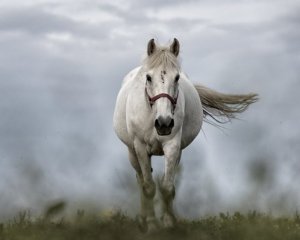 Народні прикмети 7 серпня - сьогодні вгадували, якою буде зима