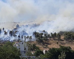 В Черногории вспыхнул пожар