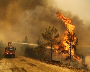 У Туреччині  не залишилося лісових пожеж, які б становили загрозу для міст