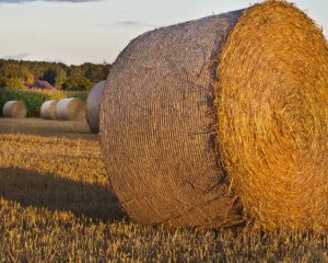 Спека повертається, але з дощами