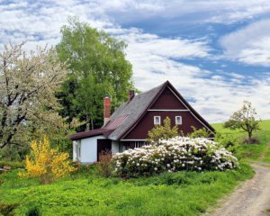 Українці розкуповують земельні ділянки під забудову: назвали причину