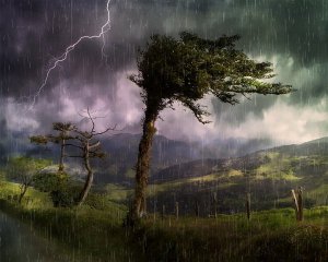 Негода може накоїти лиха: оголосили штормове попередження