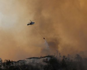 Пожежі знову охопили Туреччину: горить ліс на острові
