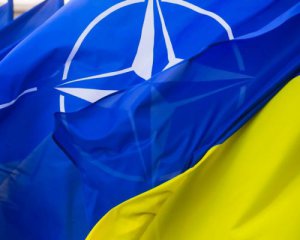 Україна стане членом НАТО -  заступник генсека Альянсу