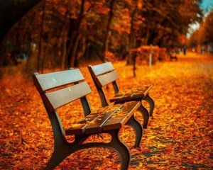 Тепла осінь принесе довгу зиму: народні прикмети 1 вересня