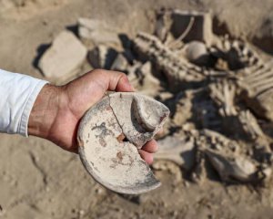 Розкопали поховання давнього правителя