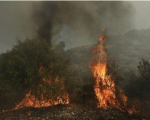 На святій горі Афон спалахнула масштабна лісова пожежа