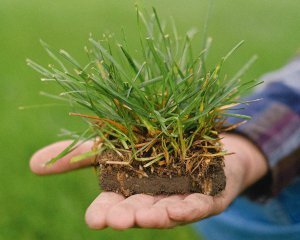 В Україні є олігархи, що накопичили статки завдяки забороні вільного продажу землі - Данілов