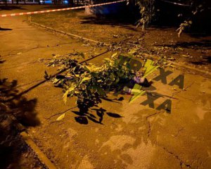 Школярка зробила селфі і стрибнула з даху дев'ятиповерхівки