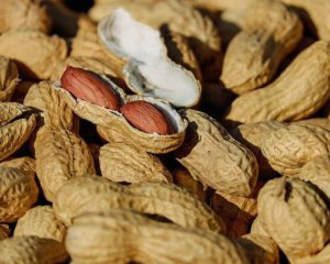 Назвали основные полезные свойства арахиса