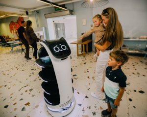 Официант-робокот подает устрицы и шашлык в столичном ресторане